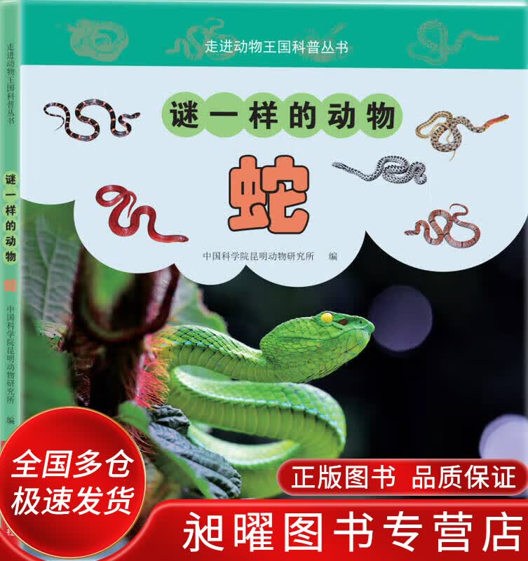 谜一样的动物 蛇【正版精选】