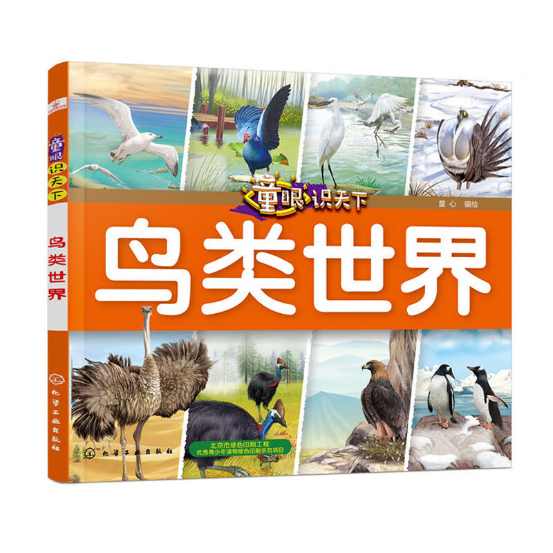 童眼识天下 鸟类世界 3-4-5-6岁幼儿童常识教育早教绘本图书籍 鸟类