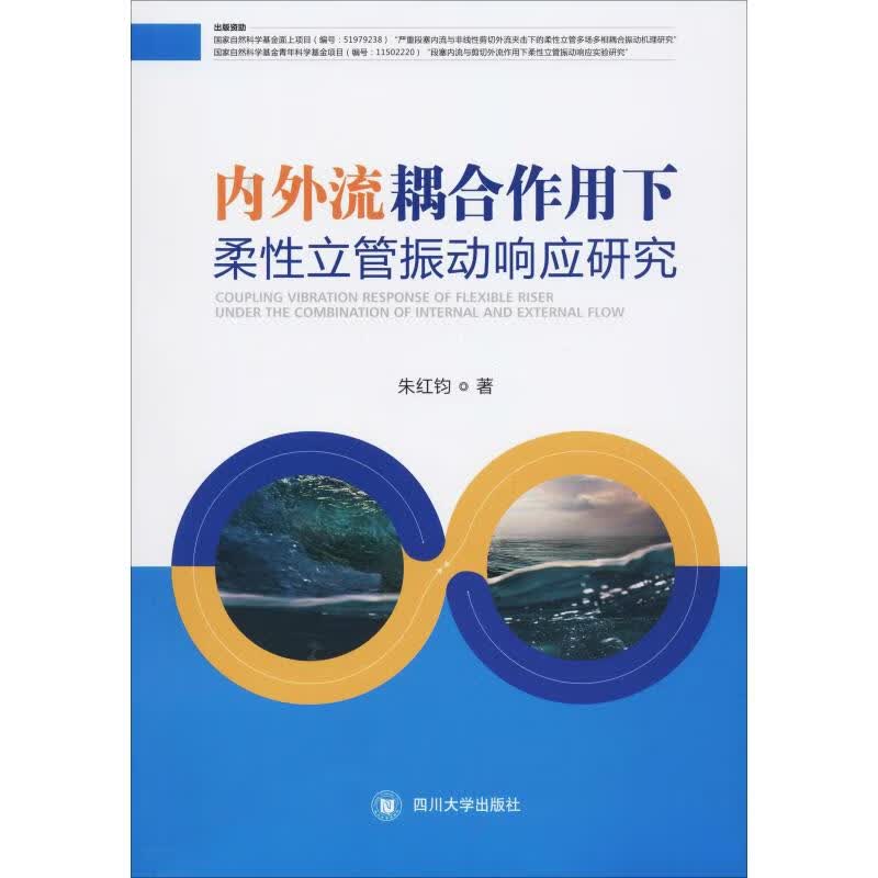 内外流耦合作用下柔性立管振动响应研究