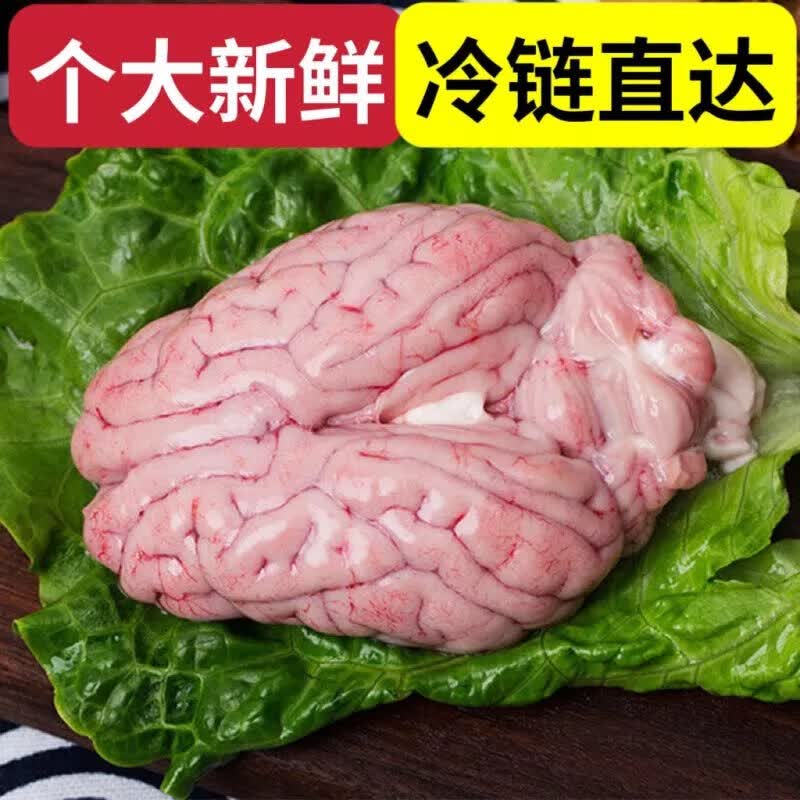 诺斯食美猪脑花批发冷冻新鲜猪脑花新鲜猪脑子左右脑 脑髓火锅烧烤食材 新鲜猪脑(16副)高性价比高么？
