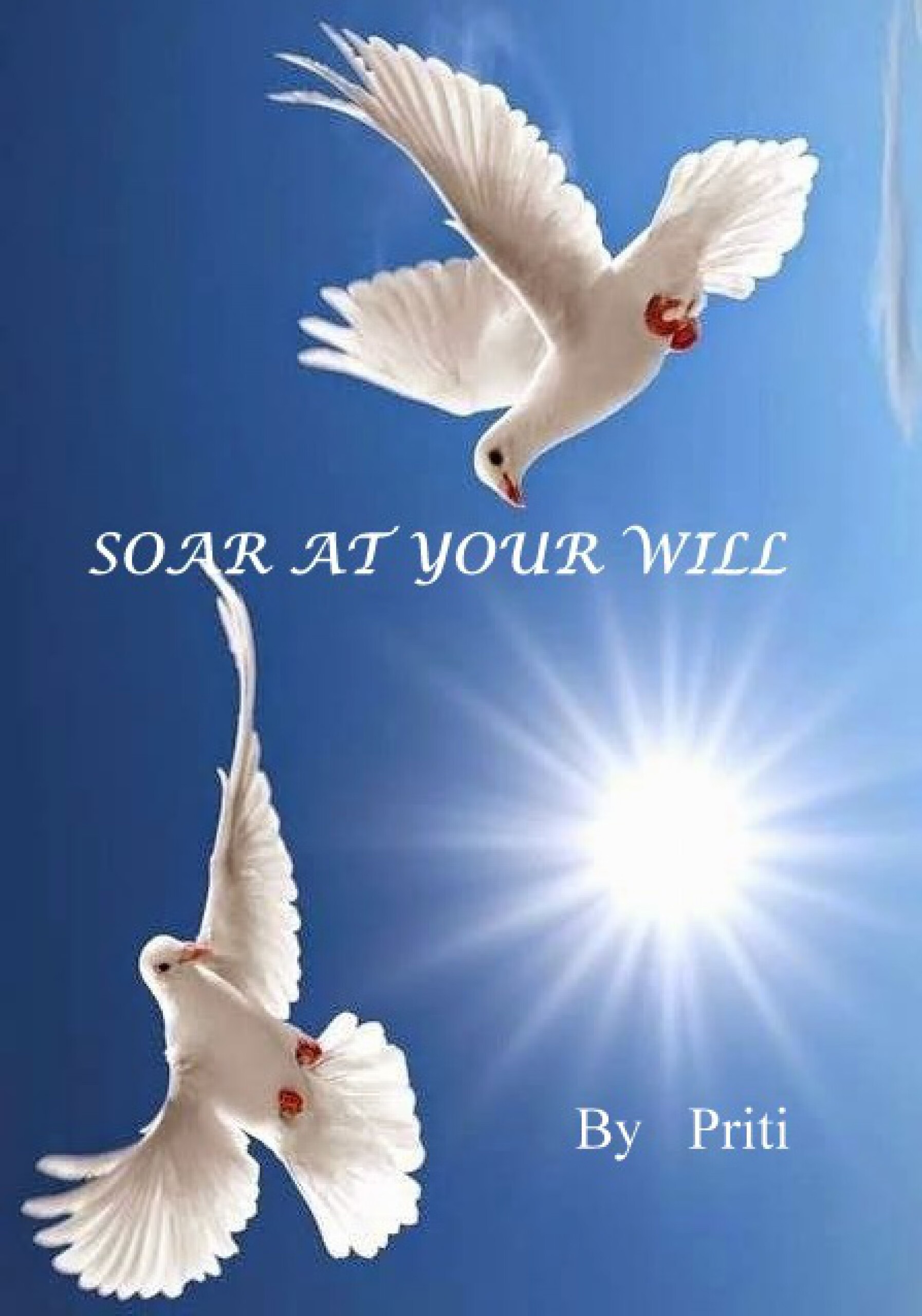 soar at your will