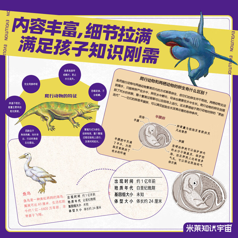 大演化：38亿年地球生命奇迹  尹烨给孩子的生命科普书 地球上的每个生命，生而荣耀详情图