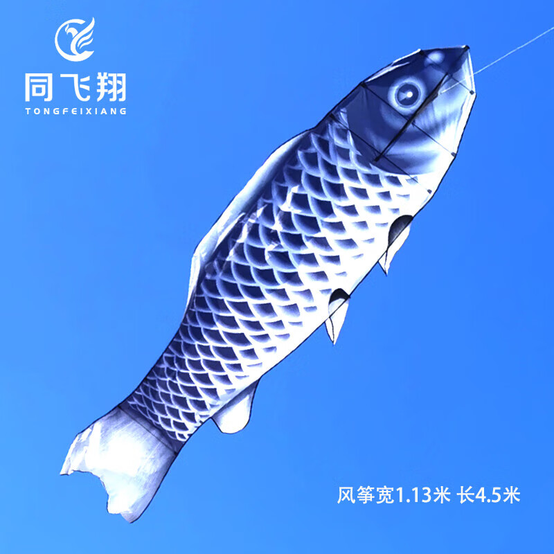 5米鲫鱼仅风筝 祝福大鲫大鲤