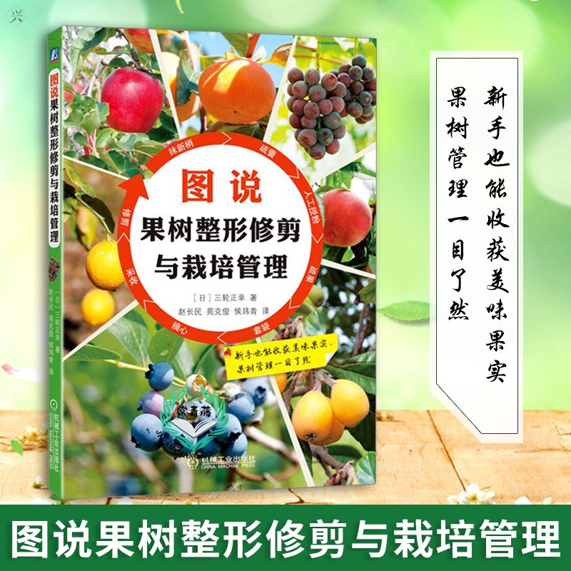 图说果树整形修剪与栽培管理 果树栽培管理技术 果树种苗育苗 苗木栽培技术 嫁接技术 病虫害防治 果树科学种植技术指导书籍