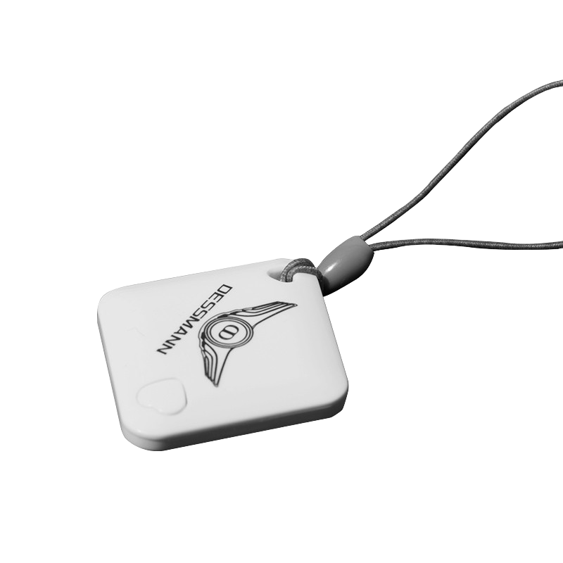 ʩDESMANDESSMANN ʩָԿ Կ