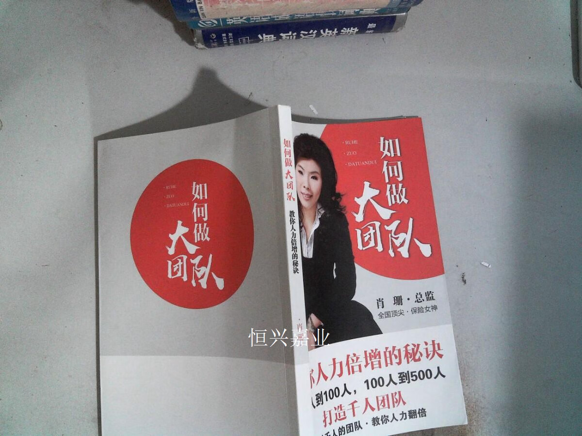 【二手9成新】如何做大团队教你人力倍增的秘诀 : 肖珊 中国平安公司
