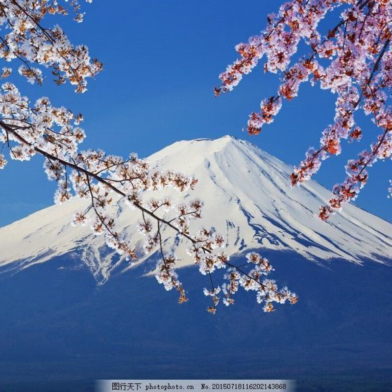 萦娪数字油画diy风景花卉富士山樱花手工填充手绘填色客厅装饰画 5607