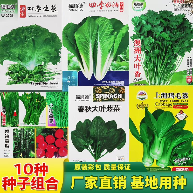福顺德10种蔬菜种子套装 菠菜小白菜香菜生菜萝卜种籽阳台园艺四季播种 蔬菜种子套装（10包）