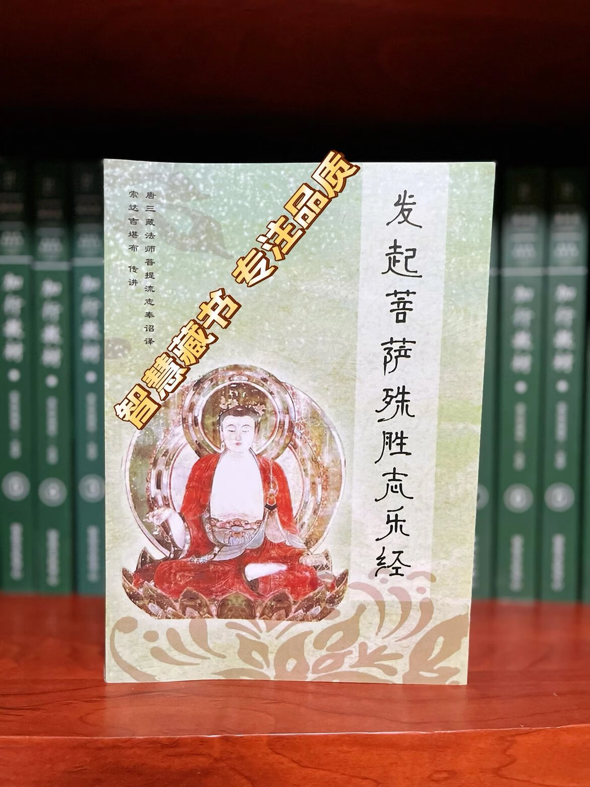 发起菩萨殊胜志乐经 讲记1～13 SS