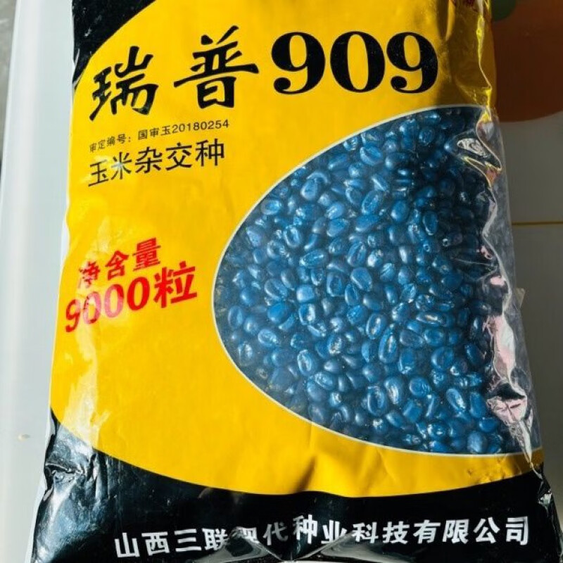 细辛国审瑞普909(9000粒)矮杆大棒抗倒抗旱山西三联玉米种子 瑞普909