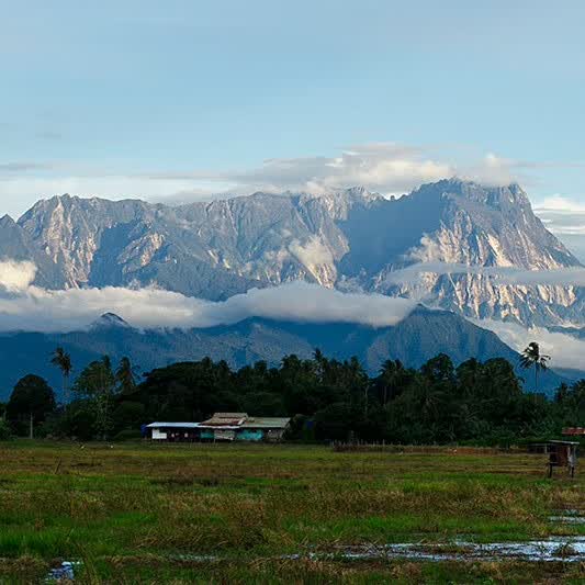 【马来西亚沙巴 古达6日】神山国家公园 蓝眼泪 珊瑚吧出海 丹绒亚路