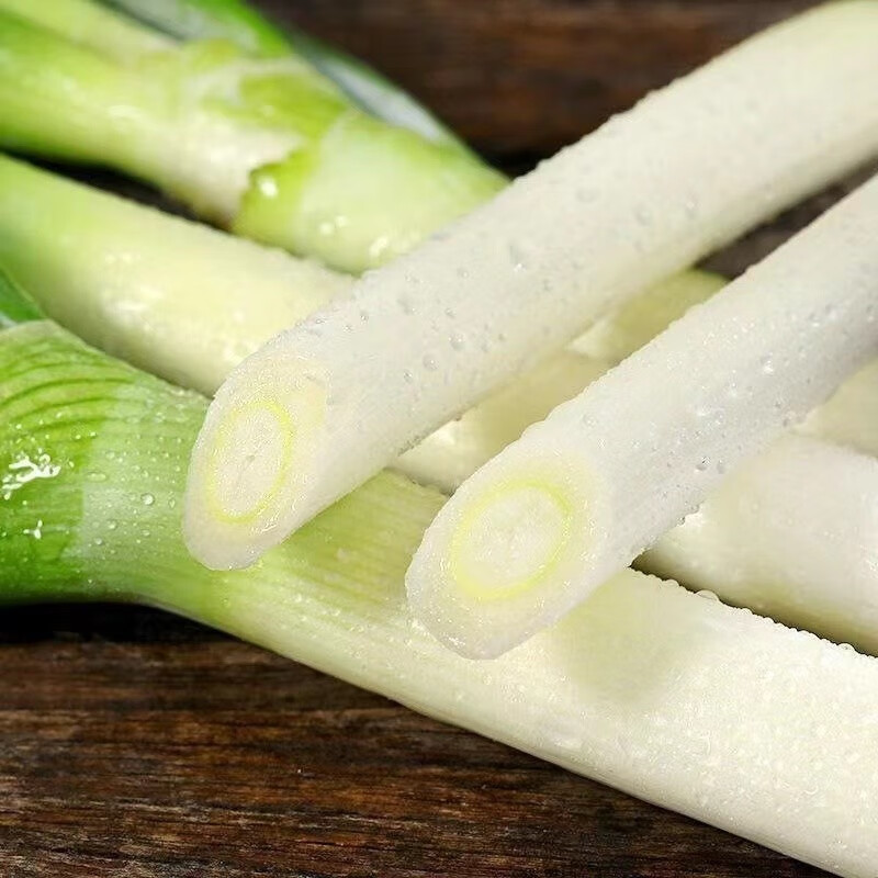 振琦山东特产大葱章丘发货 礼盒时令新鲜蔬菜 正宗长葱蘸酱脆白甜 9斤
