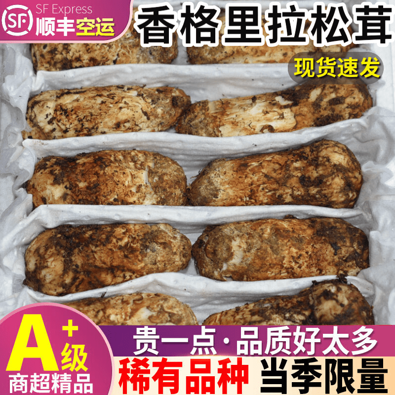 橄表白现货顺丰 松茸 1斤鲜冻菌出口级云南香格里拉特产蘑菇 1斤 5cm