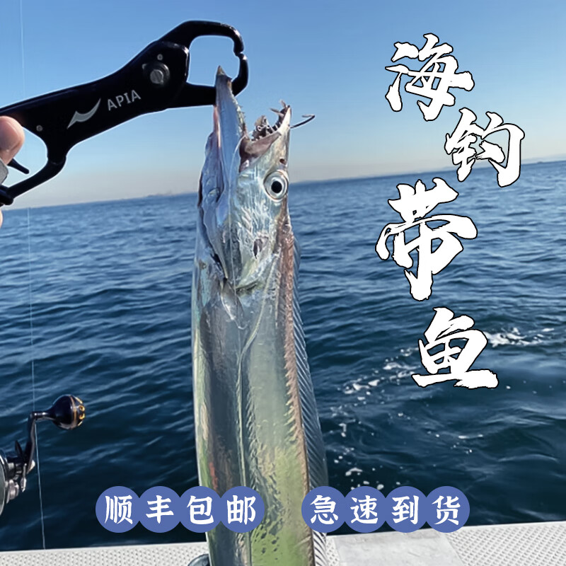 源外园 东海钓带鱼 新鲜船冻特级大钓带鱼整箱大号整条生鲜 鱼类带鱼 带鱼整条净重无冰【5斤装】 大规格0.7-1斤/条