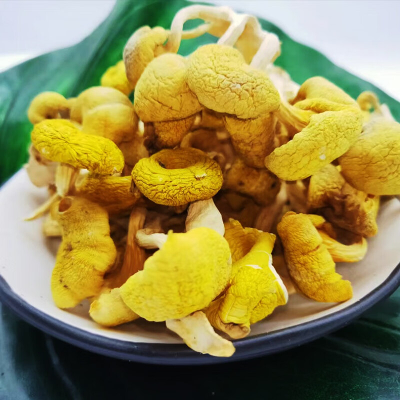 双枒子(syz)干黄金菇云南食用菌山里菌榆黄菇黄丝菌鸡油菌火锅菌批发