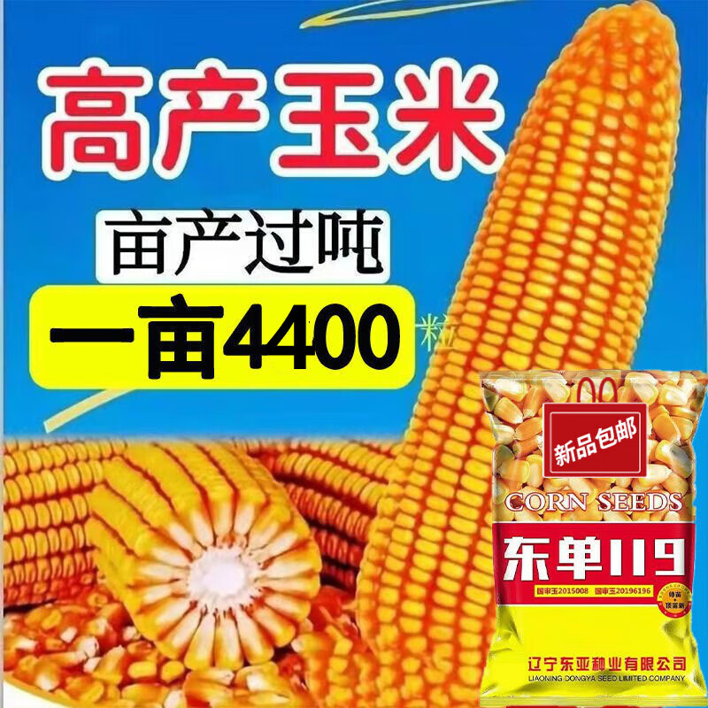 玉米种子批发双国审玉米种矮杆大棒种子 东单119*4400粒