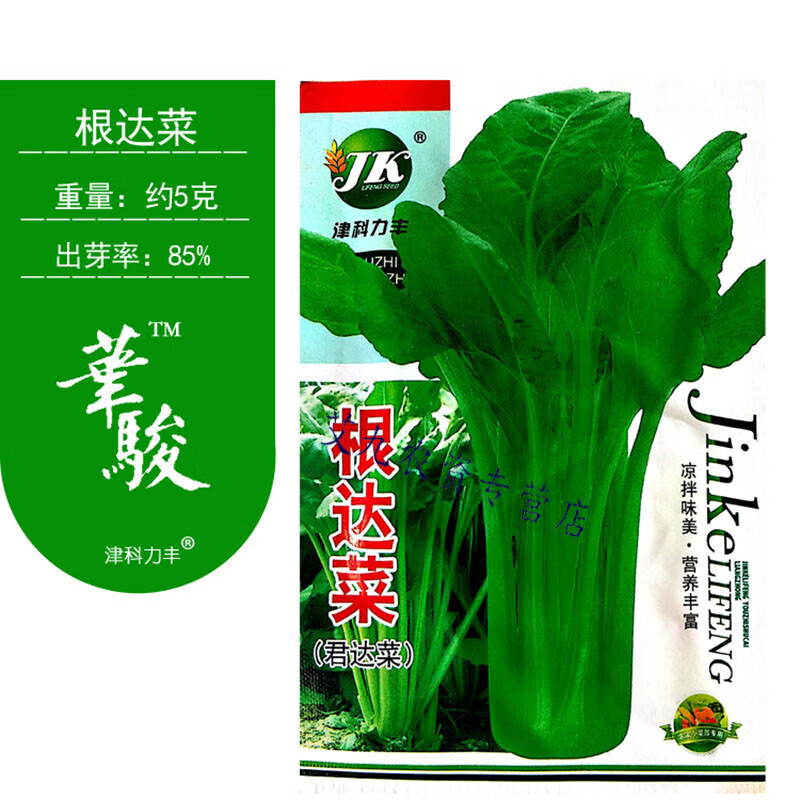 西芝种子根达菜种子牛皮菜莙荙菜君达菜种子蔬菜种子四季播种耐寒抗热
