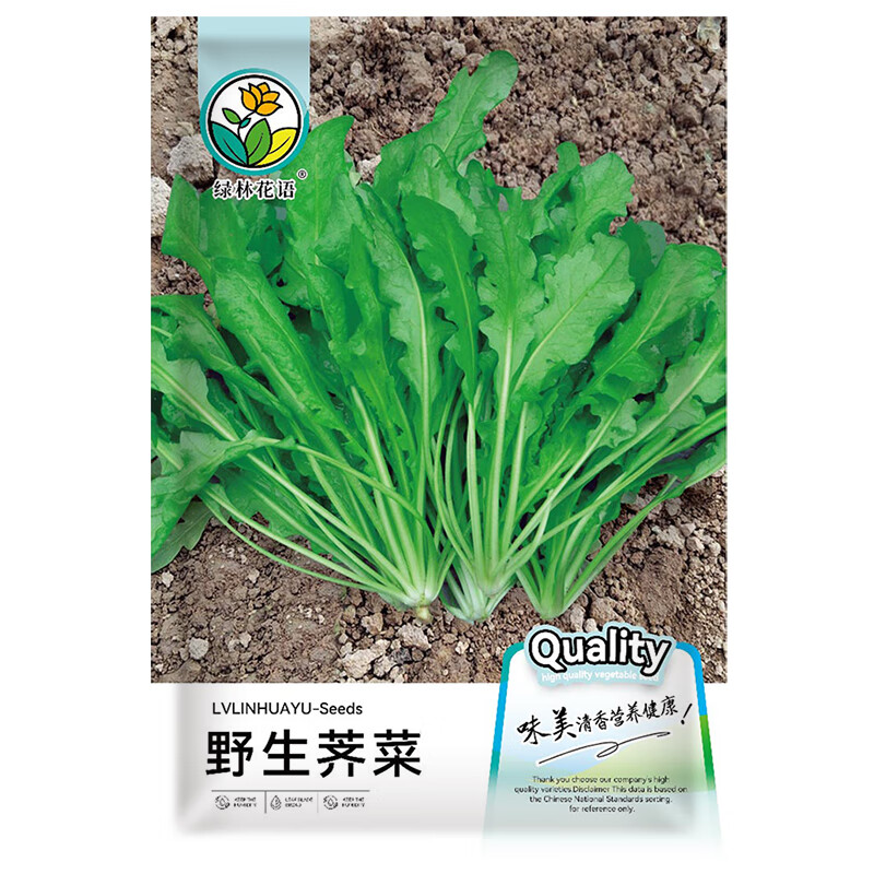 绿林花语野生荠菜种子大叶荠菜四季播种农家田里野菜种子阳台田园蔬菜