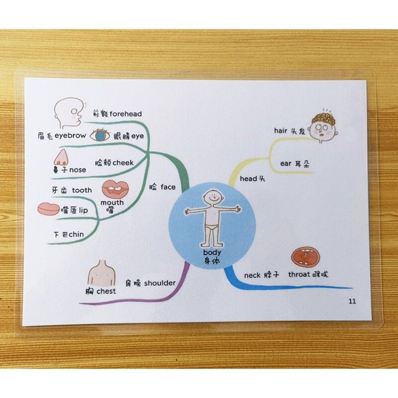 英语思维导图记英文单词卡通图片早教启蒙提升记忆背神器教具塑封 62