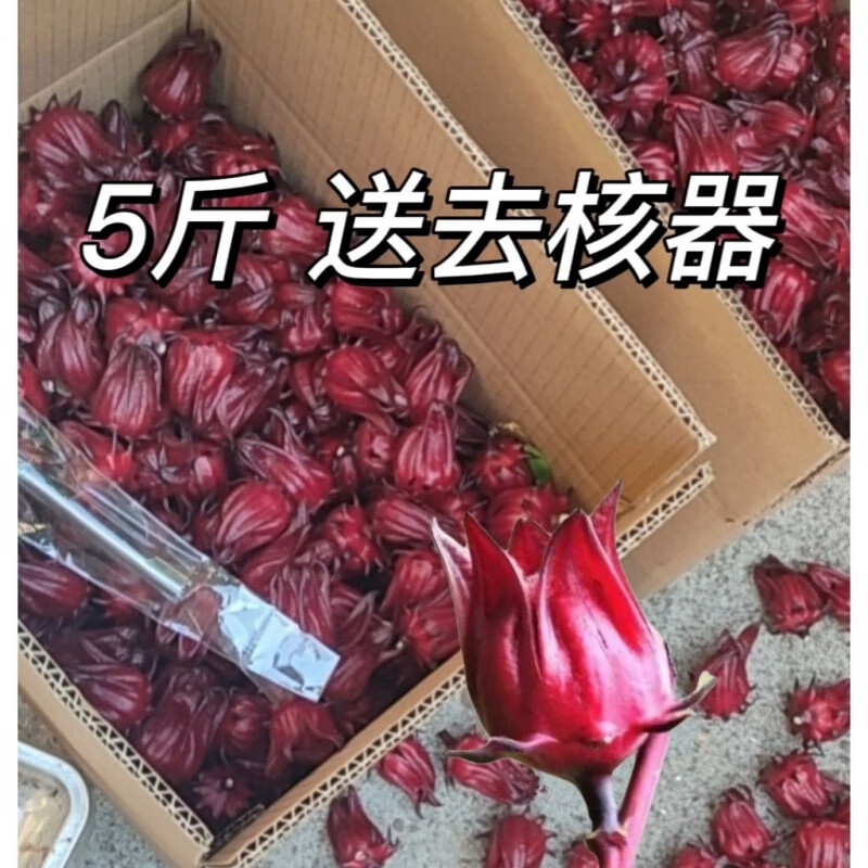 食芳溢5斤新鲜现摘红桃k果洛神花茶玫瑰茄鲜果洛神花酵素新鲜花 发5斤