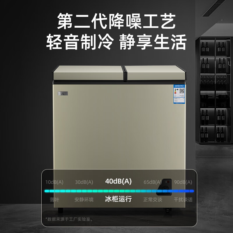 选购指南：冰柜品牌排行前5名出炉，哪个更适合你-图片3