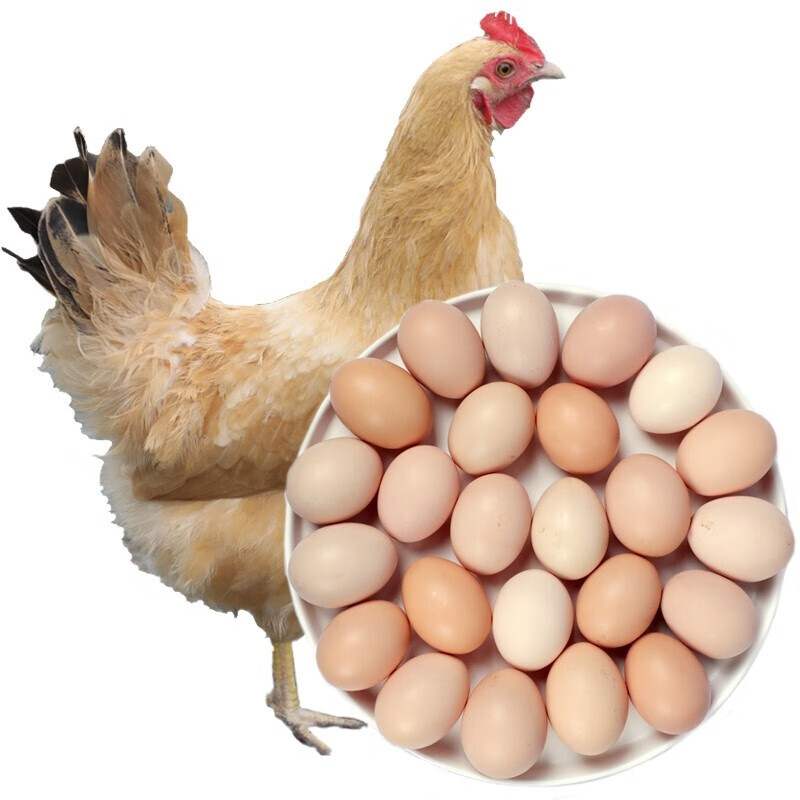 新鲜鸡蛋农家散养土鸡蛋笨鸡蛋生鸡蛋初生蛋 20枚装