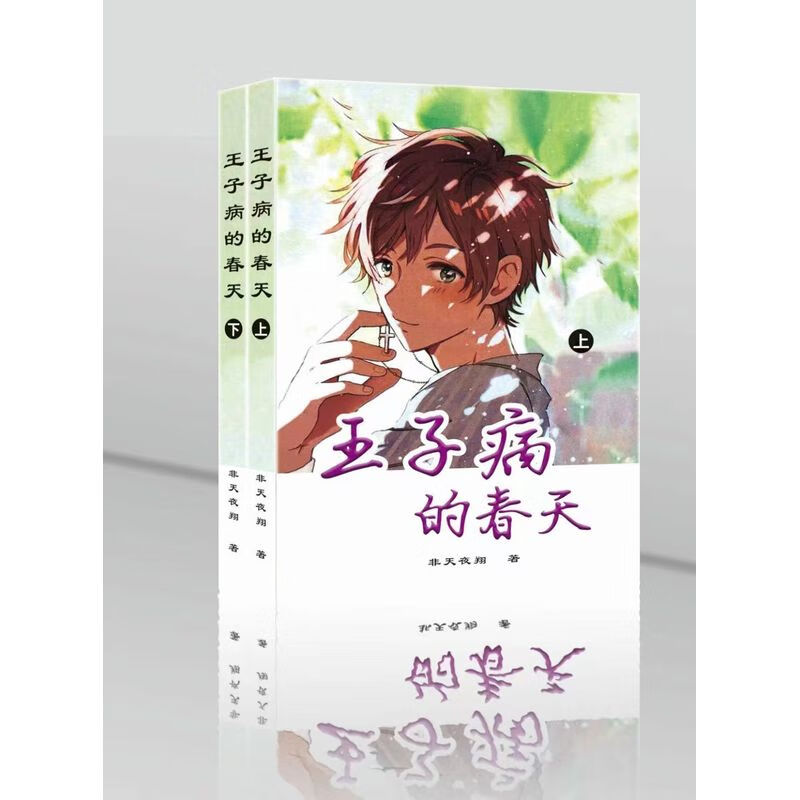 王子病的春天by非天夜翔小说 实体书 上下两册未删减