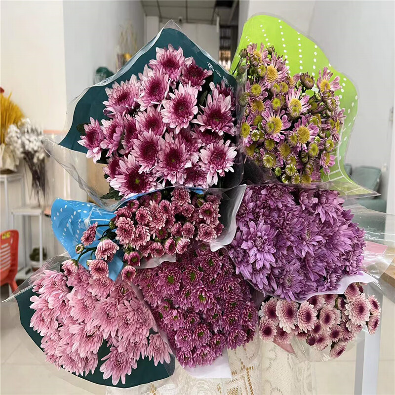 小雏菊 粉色系