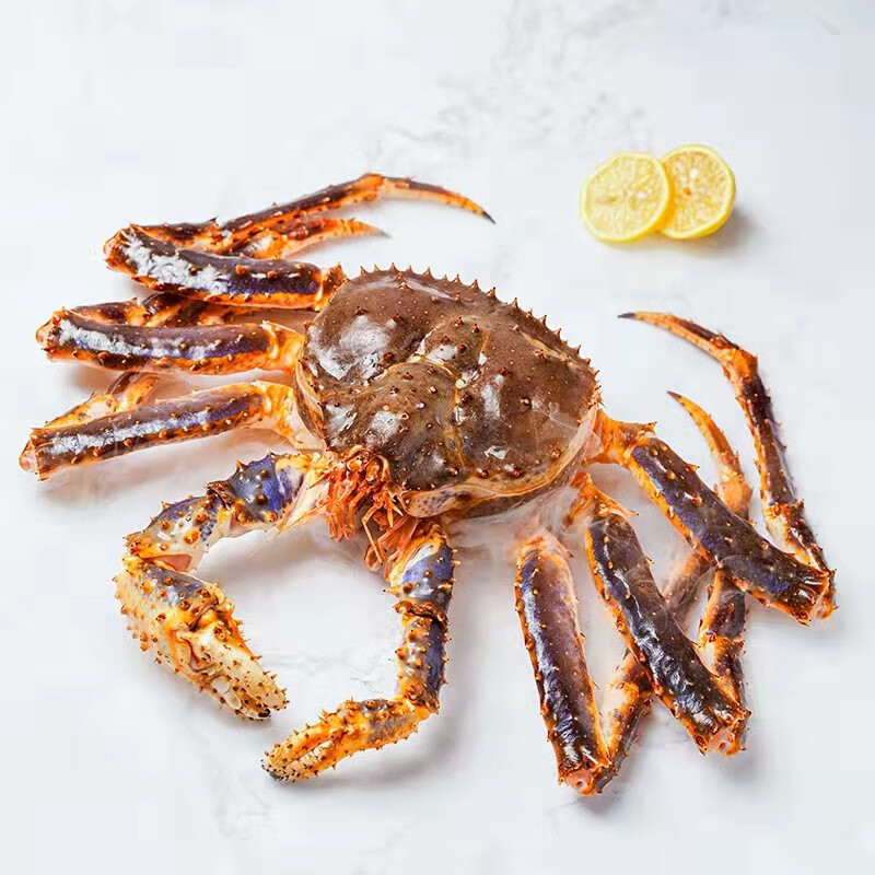 【膳富贵】俄罗斯生冻帝王蟹冰鲜活冻长脚蟹帝皇蟹海鲜水产礼盒 8-8.5斤一只 活冻帝王蟹