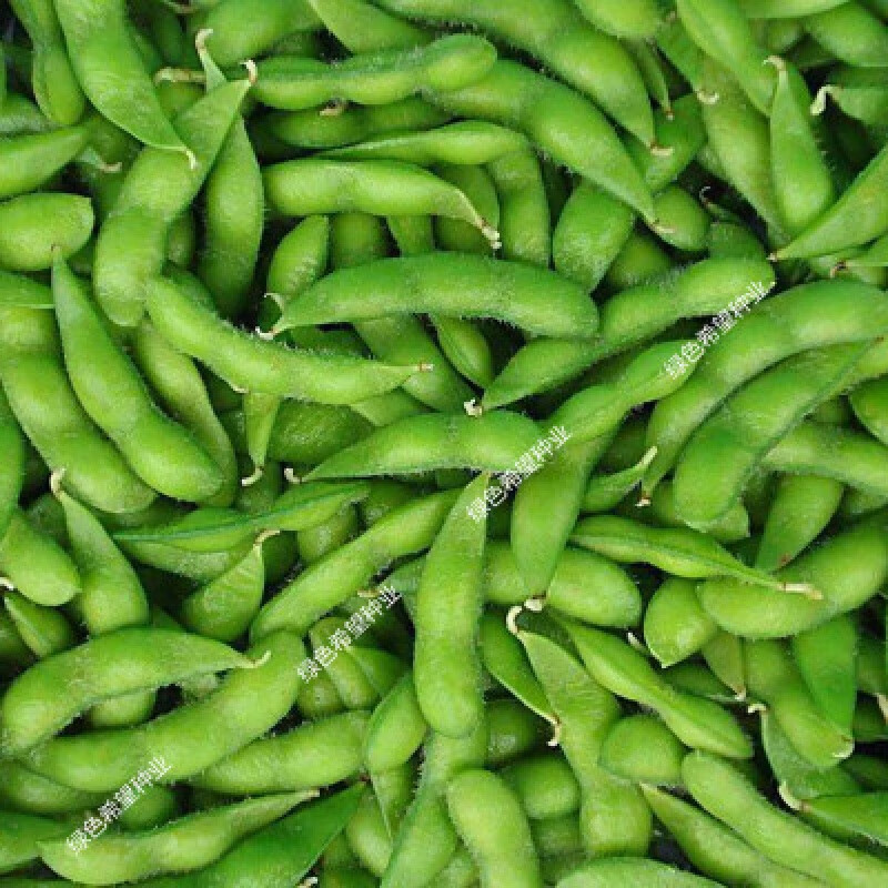 鲜食毛豆 种青豆 黄豆理想苏清三号农家四季蔬 【简装散称毛豆1斤】