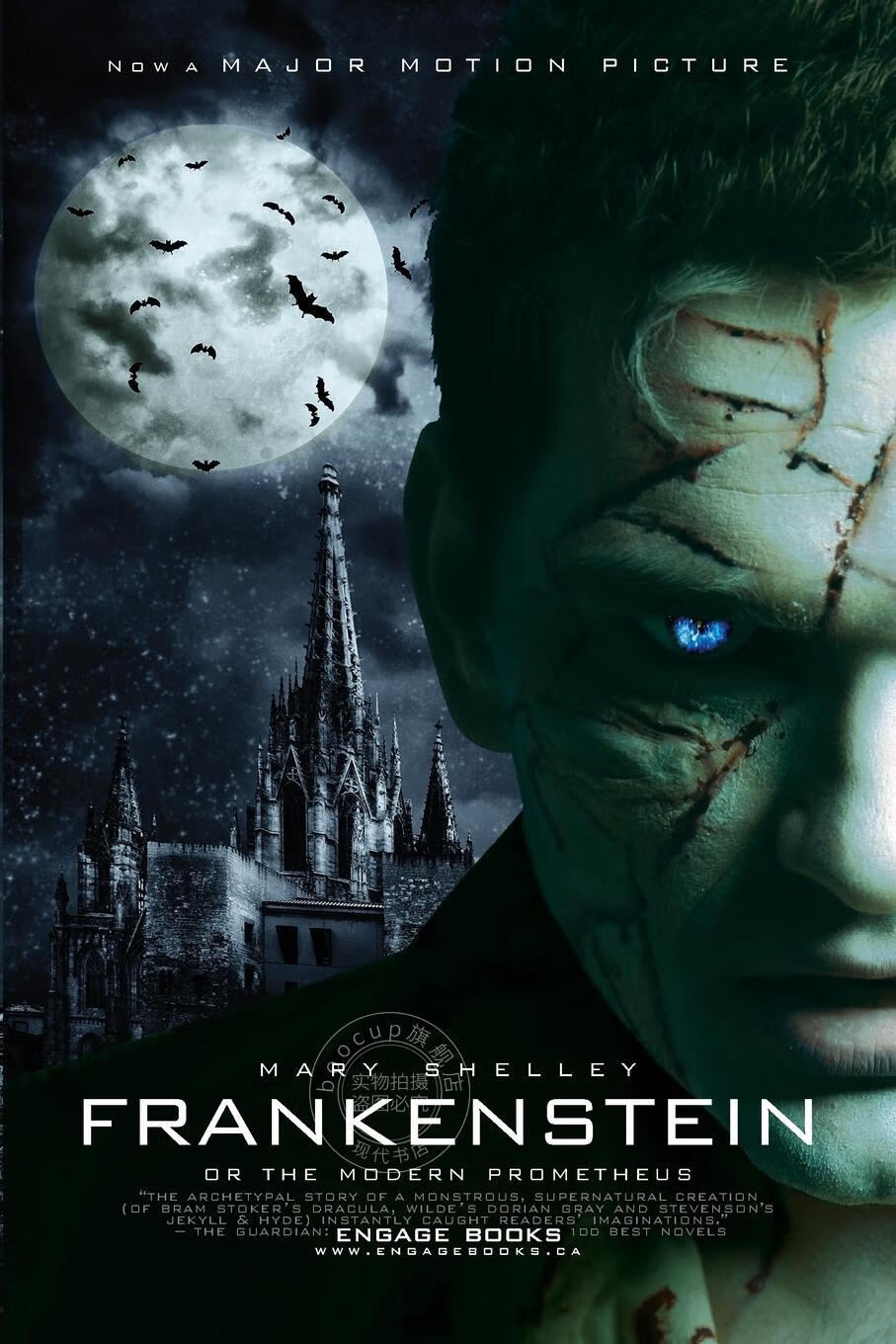 【2周达】预售 按需印刷 frankenstein