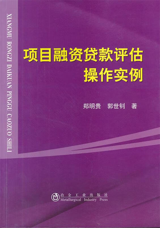 项目融资贷款评估操作实例【正版书籍】