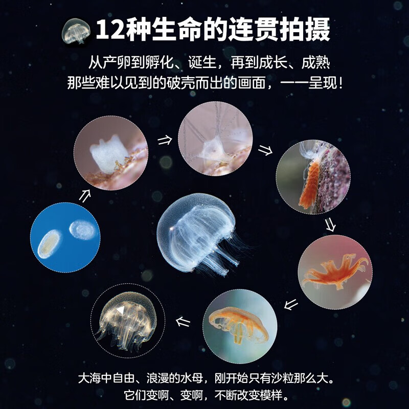 【无穷小亮推荐】生命的故事 赠音频 高清实拍昆虫动物科普百科全书12345辑+番外篇 赠音频 纸上纪录片自然科普儿童绘本 幼儿园动物世界3-6-8-10岁 人民日报推荐官方正版省钱卡图书卡 生命的故事