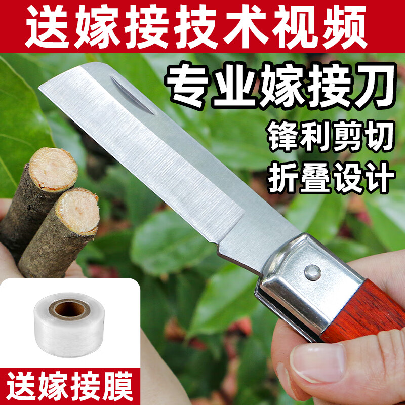麥舒特德國鋒鋼果樹嫁接專用刀嫁接樹苗神器園藝植物芽接刀接樹工具 直身斜刃嫁接刀