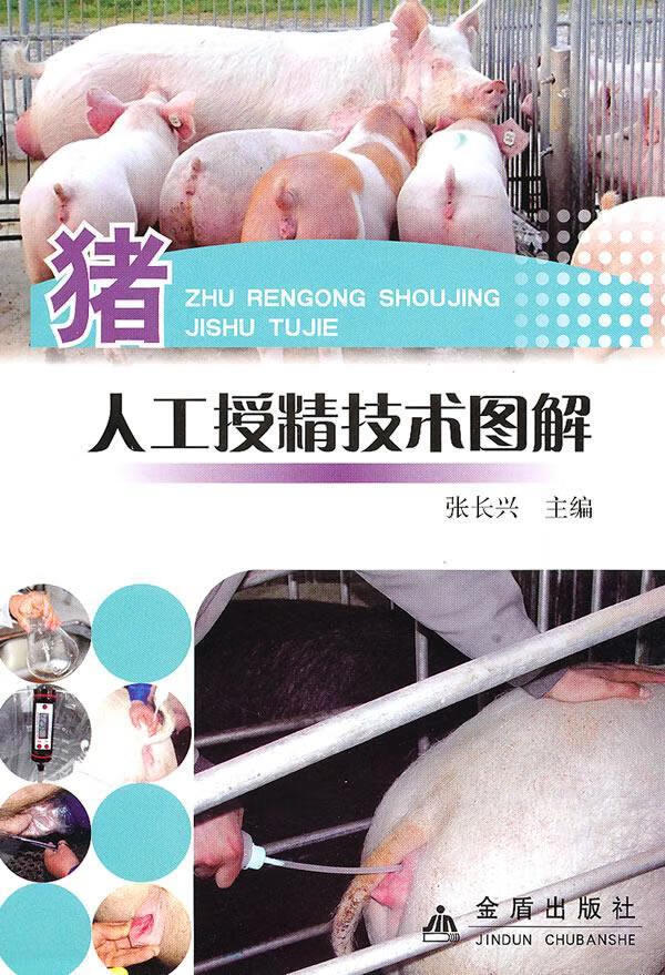 猪人工授精技术图解 张长兴 主编 9787508263557【正版】