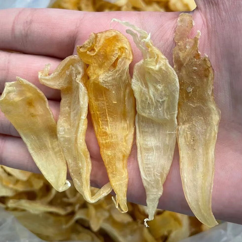 海中乐 豆仁胶 400头 花鱼胶干货鱼肚深海 1-500克药房直发 250克半斤