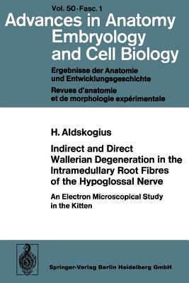 预订 indirect and direct wallerian degeneration in the