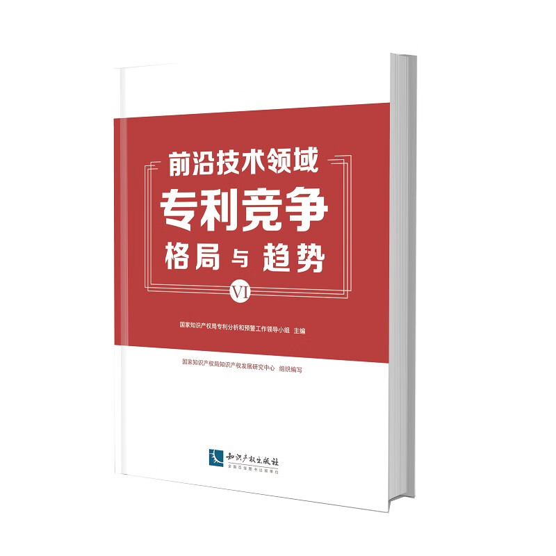 前沿技术领域专利竞争格局与趋势(VI)