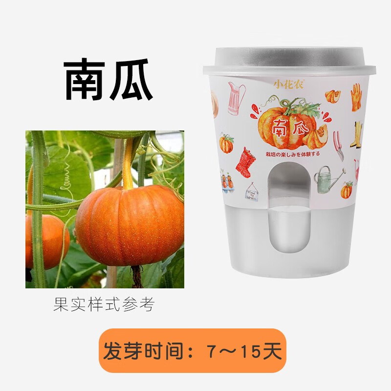 小花农幼儿园小朋友种植观察日记种植植物生长迷你小盆栽男女孩生日