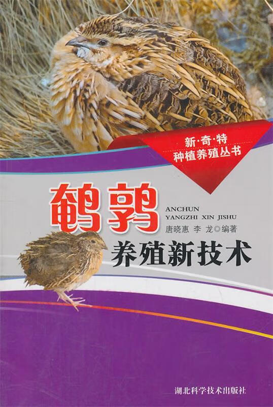 鹌鹑养殖新技术