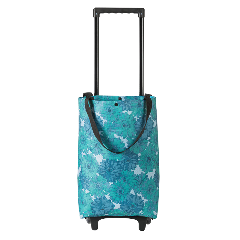 Ʒ˳۵ﳵͥЯʽ˳ ȸ