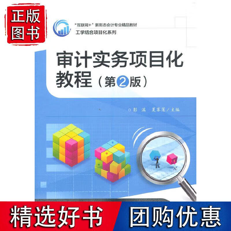 审计实务项目化教程（第2版）