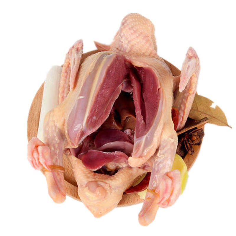 家养鸽子土鸽乳鸽元宝鸽老鸽子煲汤肉鸽 去头去爪【大王鸽】方便食用