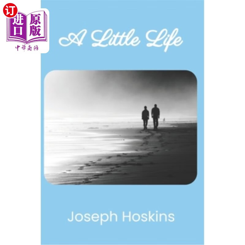 海外直订a little life 《小生活》