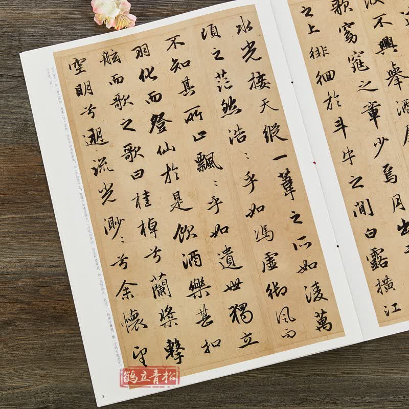 正版 赵孟頫前后赤壁赋 八开行书毛笔字帖 中华经典碑帖彩色放大本 中华书局 简体旁注 书法临摹原帖