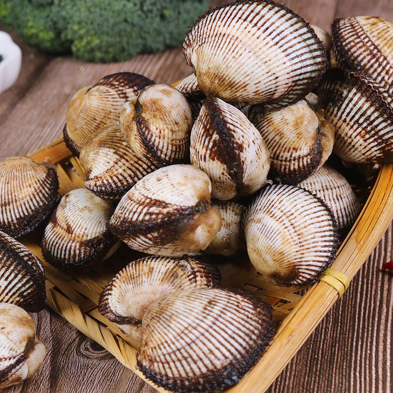 鲜活大毛蛤新鲜蛤蜊贝类血蛤大毛蚶海鲜水产活鲜生鲜 3斤装 1.5kg