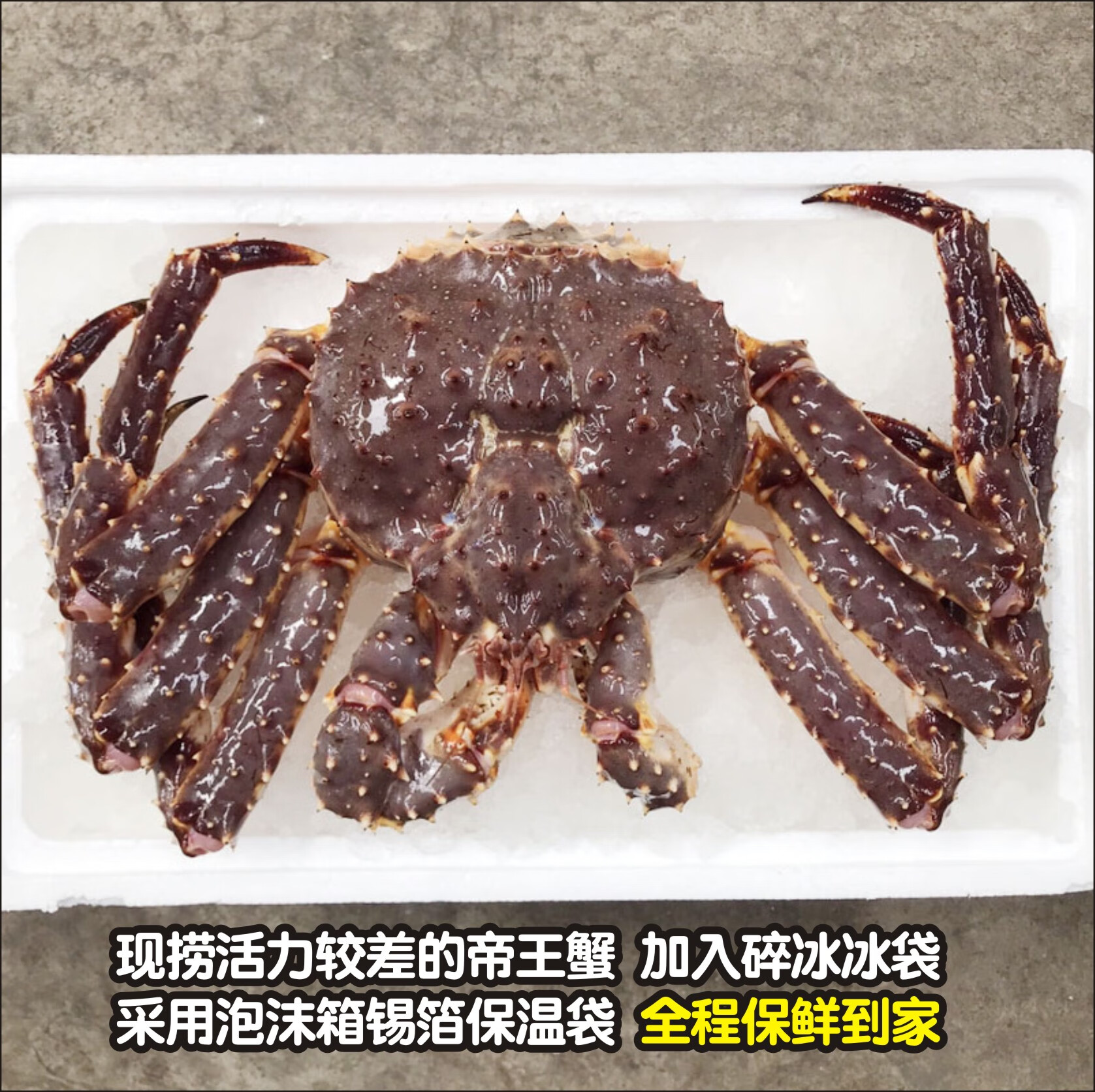 帝王蟹海鲜鲜活冰鲜3到10斤1只特大螃蟹水产皇帝蟹帝皇蟹 3斤左右【活冻品质 新鲜足称】