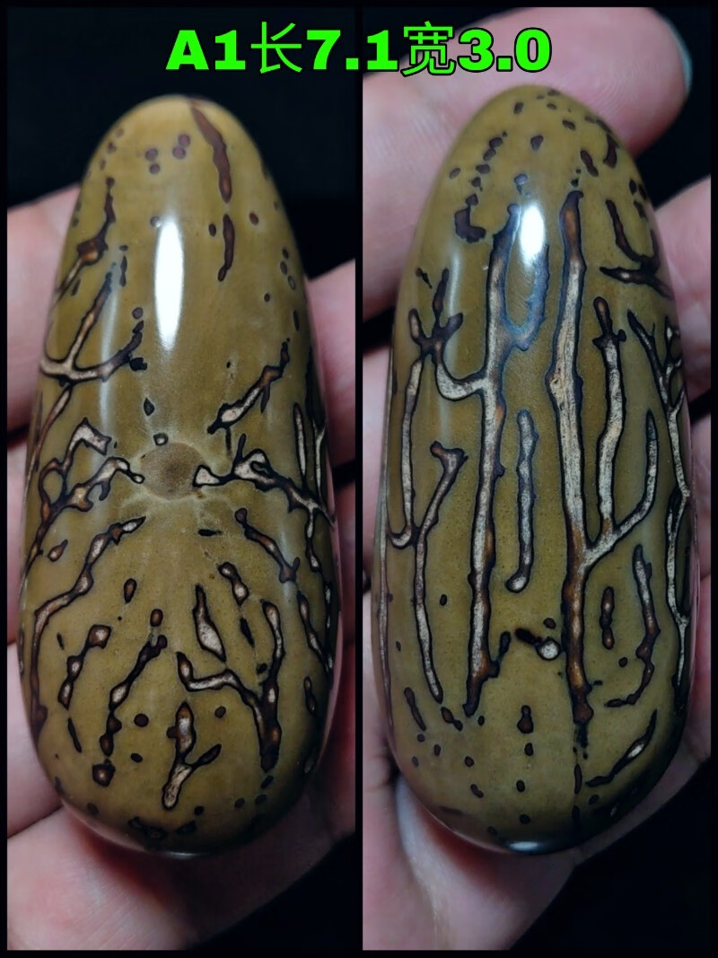 珠佩丽千眼菩提千眼菩提大果一物一图绿果白果清果雕刻镶嵌精品手把件