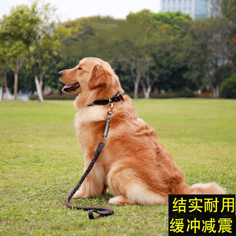 内行人吐槽憨憨乐园 狗狗牵引绳狗绳感觉真的好吗，入手二周感受分享