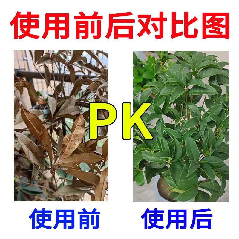 桂花树肥料专用肥枯叶斑病焦尖落黄叶花肥专用药营养液盆栽叶面肥 买3 送2【5瓶囤货装】